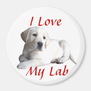 Labrador Retriever Love Magnet Magneet