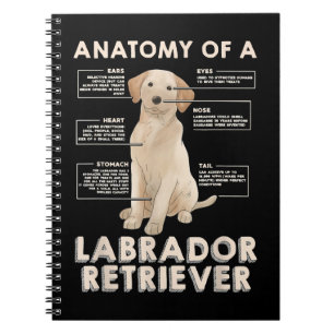 Labrador Retriever Lover Funny Anatomy of a Labrad Notitieboek