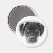 Labrador Retriever Magnet Magneet (Voorkant / Achterkant)
