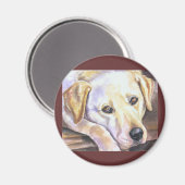 Labrador Retriever Magneten (Voorkant / Achterkant)