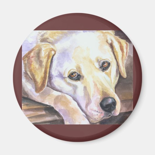 Labrador Retriever Magneten (Voorkant)