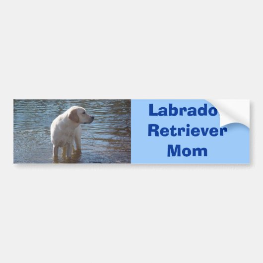 Labrador Retriever mama Bumpersticker (Voorkant)