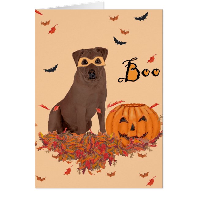 Labrador Retriever marron Halloween (Devant)