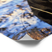 Labrador Retriever met Drake Mallard Poster (Hoek)