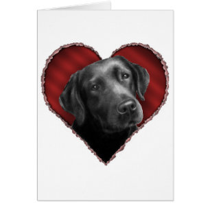 Labrador Retriever met hart