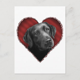 Labrador Retriever met hart Briefkaart