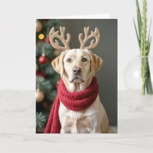 labrador retriever met rendiergewei feestdagen kaart