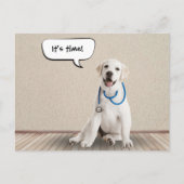 labrador retriever met stethoscoop briefkaart (Voorkant)
