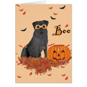 Labrador Retriever Noir Boo!
