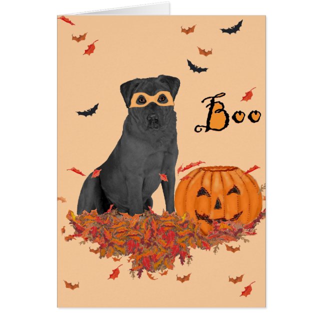 Labrador Retriever Noir Boo! (Devant)