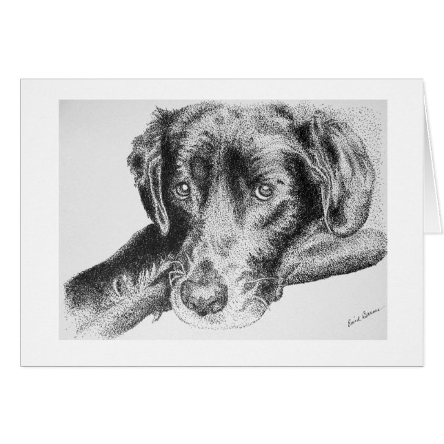 Labrador retriever noir du dessin à l'encre (Devant Horizontal)