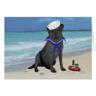 Labrador Retriever Noir Marin