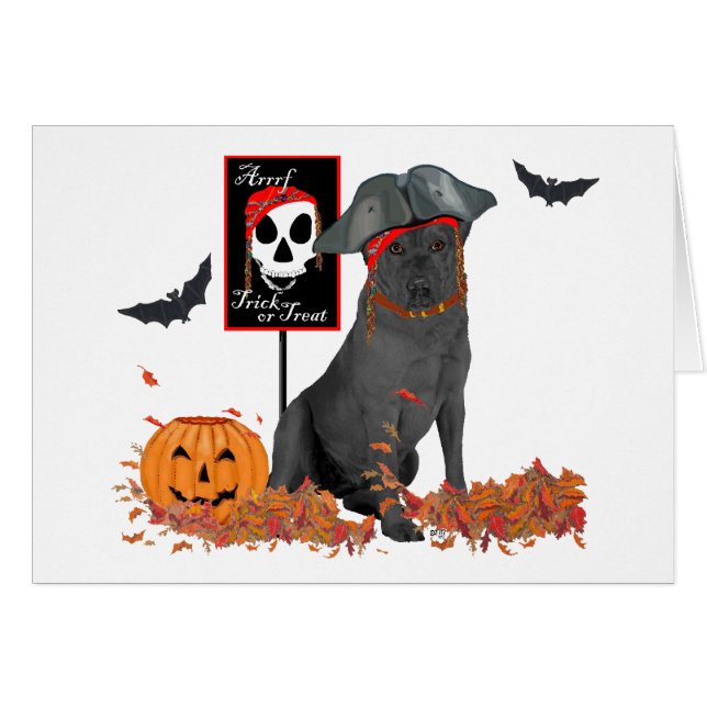 Labrador Retriever noir pirate (Devant horizontal)