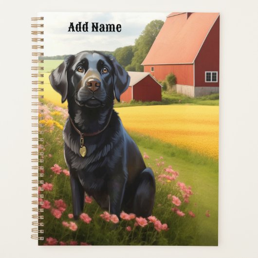 Labrador Retriever on Farm (Devant)