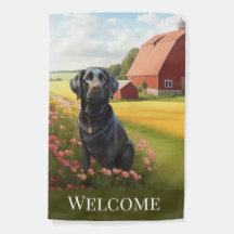 Labrador Retriever op de boerderij
