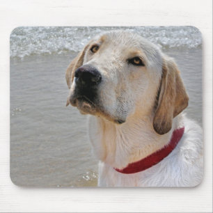 Labrador Retriever op strand Muismat