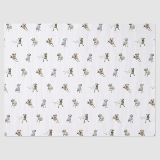 Labrador Retriever Pattern (wit) Tissuepapier (Voorkant)