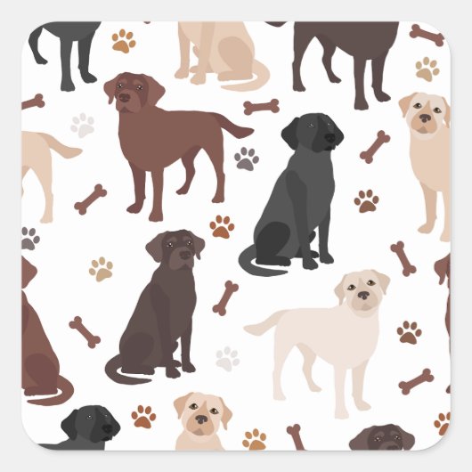 Labrador Retriever Paws and Botten Square Sticker (Voorkant)