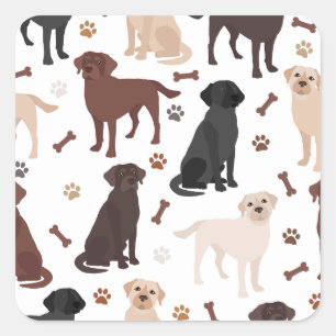 Labrador Retriever Paws and Botten Square Sticker