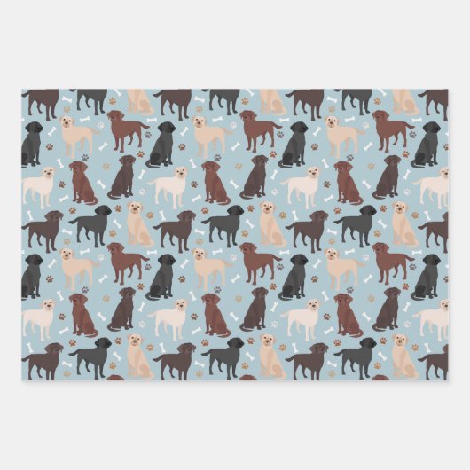 Labrador Retriever Paws en Botten Inpakpapier Vel (Voorkant)