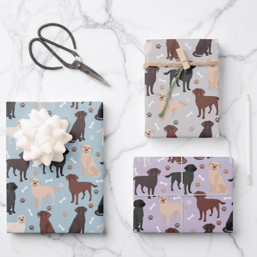 Labrador Retriever Paws en Botten Inpakpapier Vel (Voorkant)