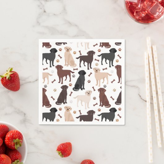 Labrador Retriever Paws en Botten Servet (Insitu)