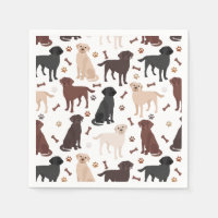 Labrador Retriever Paws en Botten
