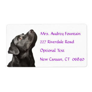 Labrador Retriever Personnalisé Name Étiquette d