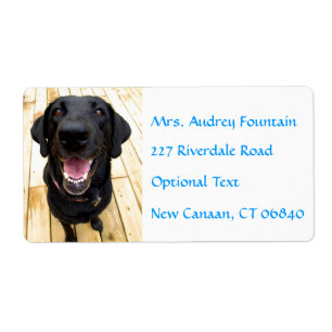 Labrador Retriever Personnalisé Name Étiquette de
