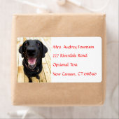 Labrador Retriever Personnalisé Nom Étiquette de a (En situation)