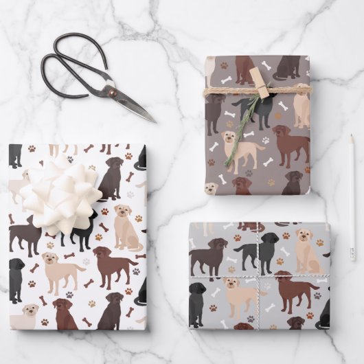 Labrador Retriever Peuten en Botten Verpakkingspap Inpakpapier Vel (Voorkant)