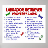 LABRADOR RETRIEVER PL2 POSTER (Voorkant)