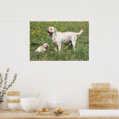 Labrador Retriever Poster (Keuken)