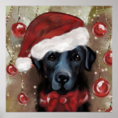 Labrador Retriever  Poster (Voorkant)