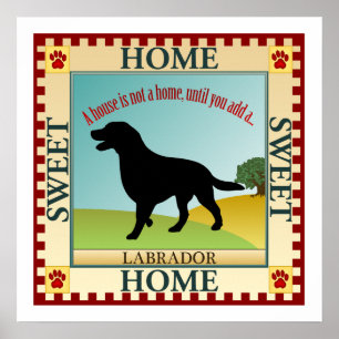 Labrador Retriever Poster