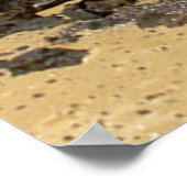 Labrador Retriever Poster Beach (Coin)