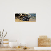 Labrador Retriever Poster Beach (Cuisine)