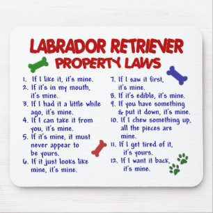 LABRADOR RETRIEVER Property Wetten Muismat