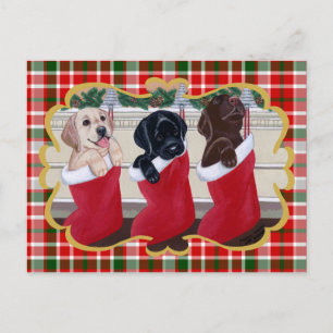 Labrador Retriever Puppies Christmas Tartan Feestdagenkaart