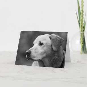 Labrador Retriever Puppy Blank Note Card Kaart