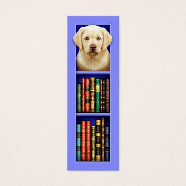 Labrador Retriever Puppy Blue Signet (Devant)