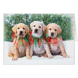 Labrador Retriever Puppy Cards