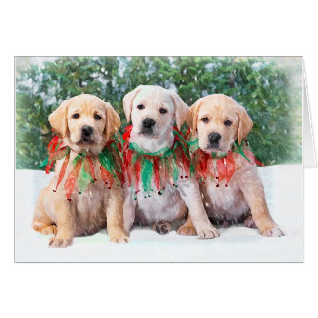 Labrador Retriever Puppy Cards (Voorkant Horizontaal)