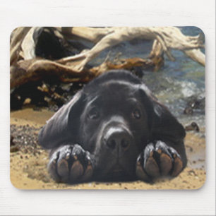 Labrador Retriever puppy op strand Mousepad Muismat