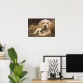 Labrador Retriever puppy Poster (Thuiskantoor)