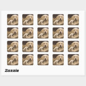 Labrador Retriever puppy Vierkante Sticker (Vel)