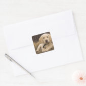 Labrador Retriever puppy Vierkante Sticker (Envelop)