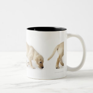 Labrador Retriever Puppy Walking Tweekleurige Koffiemok