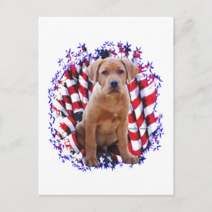 Labrador Retriever (rood) Patriot Briefkaart
