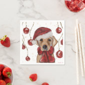 Labrador Retriever  Servet (Insitu)